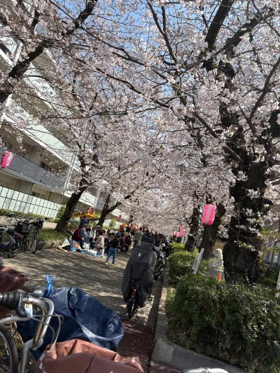 お花見🍡
