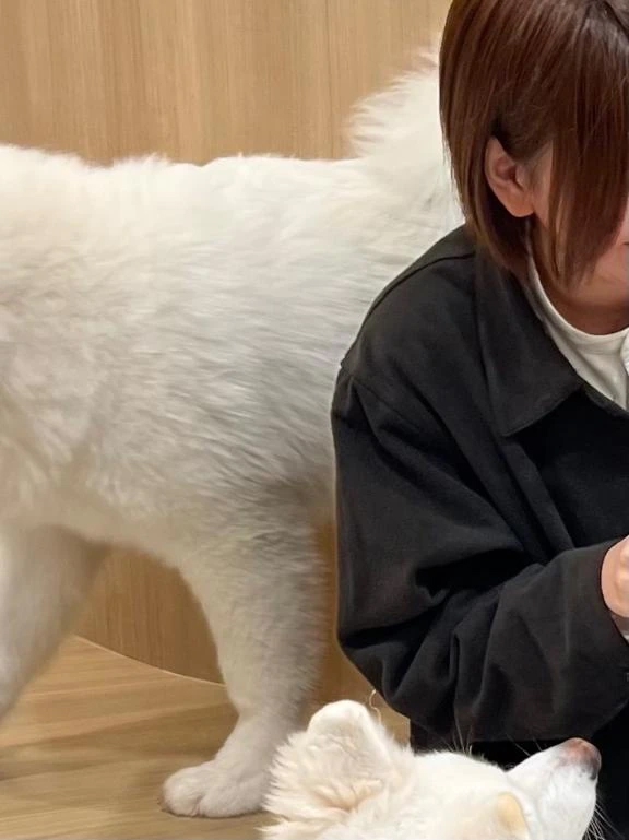 やっとやっと､､､😭