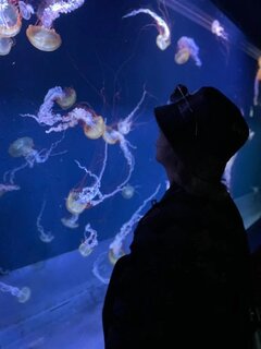 漂うままに、身を任せて