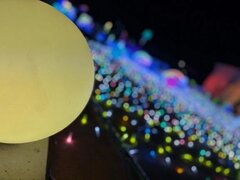 今年1年お疲れ様です〜