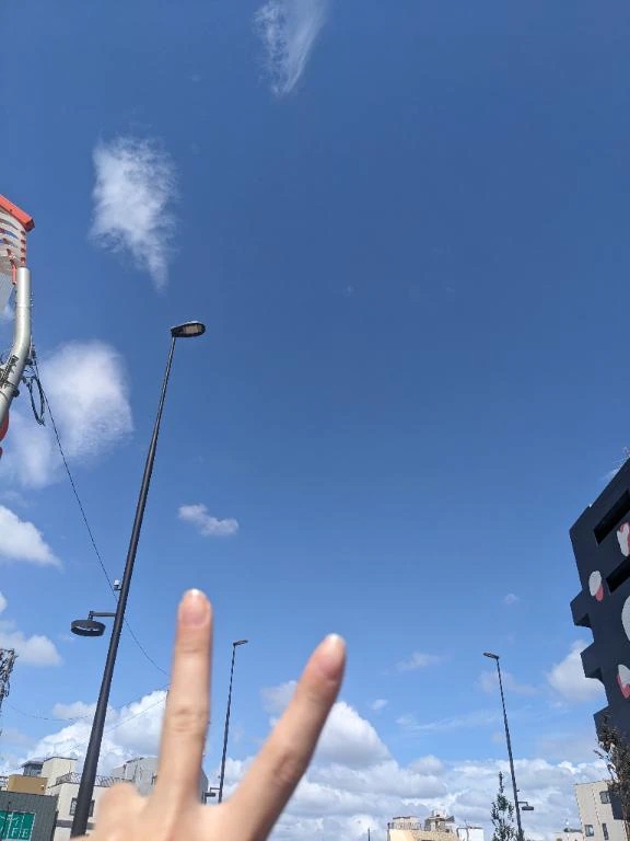最終日！
