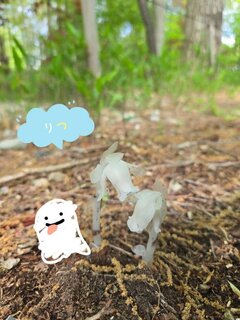 深夜のつぶやき🌱