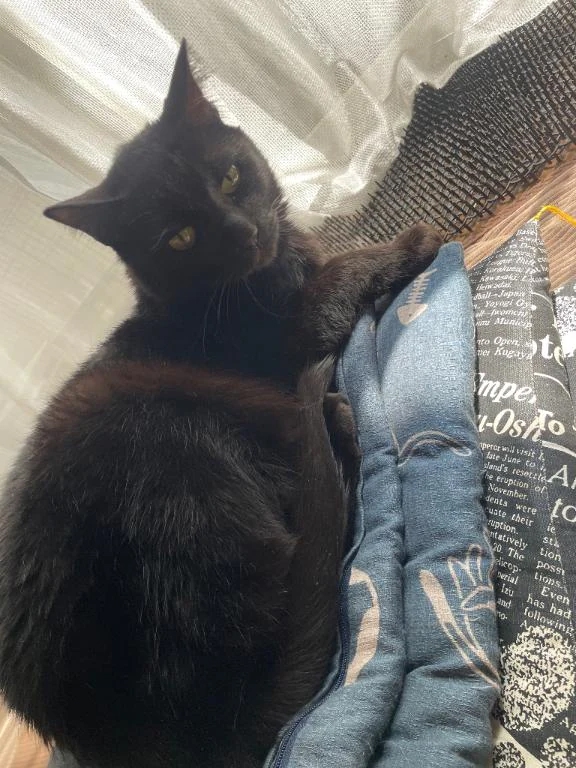 お久しぶりです💪