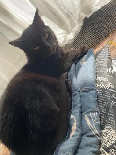 お久しぶりです💪