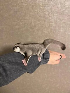 こんなに大きくなったよ〜