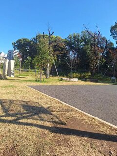 『朝から公園🌿✨』