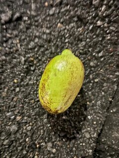 台風の七不思議