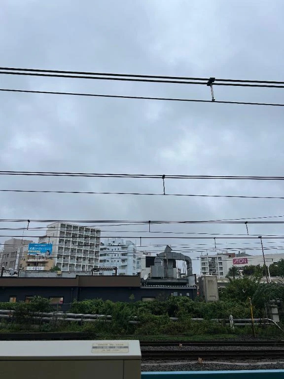 久しぶりにいます！