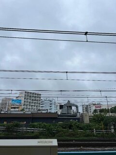 久しぶりにいます！
