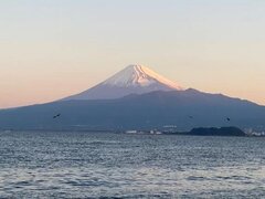 復活⸜(* ॑꒳ ॑* )⸝