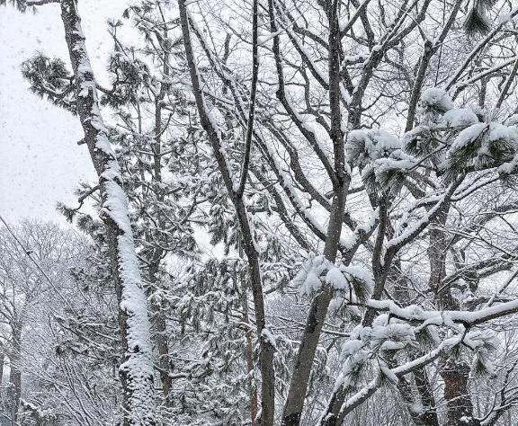 うひょ〜〜！！！