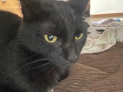 本日お休みしてしまい、すみません🙇‍♂️